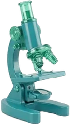 Anatomía Patológica