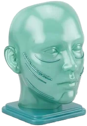 Cirugía Plástica y Reconstructiva