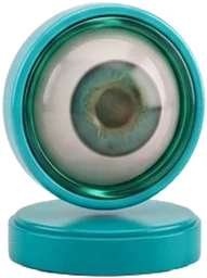 Degeneración Macular