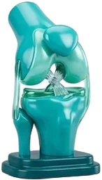 Lesión de Ligamento Cruzado