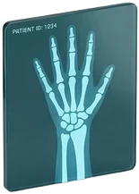 Radiodiagnóstico e Imagen