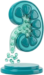 Síndrome Nefrótico