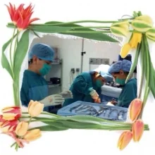 Foto de Dr. Dina Ramirez Lopez, Ginecología y Obstetricia en Tijuana