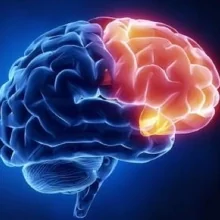 Foto de Dr. Irma Leticia Candelaria Zavala, Neurología en Ciudad de México