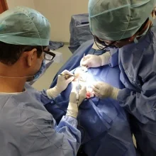 Foto de Dr. Edilberto Garcia Santiago 2, Cirugía Plástica y Reconstructiva en Tuxtla Gutiérrez