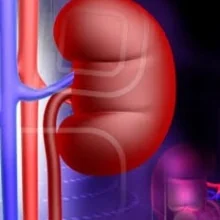 Foto de Dra. Gloria Rodas Gallegos, Nefrología en Tuxtla Gutiérrez