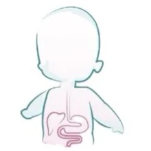 Foto de Dr. Adriana Gpe Cepeda Velez, Pediatría en Torreón