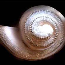 Foto de Dr. Jesús Humberto Piña Medina, Medicina Interna en Saltillo