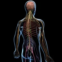 Foto de Dr. Raúl Flores Vásquez, Neurocirugía, Neurocirugía en Torreón