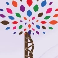 Foto de Dr. Andrea Veronica Zedillo Pena, Ortopedia y Traumatología en Toluca