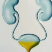 Foto de Dr. Igor Octavio Velazquez Morales, Urología en Toluca