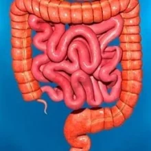 Foto de Dr. Alejandro Coronel Palomino, Coloproctología en León