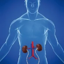 Foto de Dr. Alejandro Tepetate Bahena, Nefrología en Acapulco