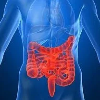 Foto de Dr. Luis Fernando Orozco Corona 2, Coloproctología en Pachuca