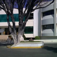 Foto de Dr. Ma Guadalupe Garcia Mojica, Dermatología en Guadalajara