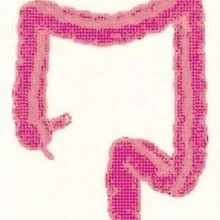 Foto de Dr. José Antonio Zavala Egea, Cirugía General en Cuernavaca