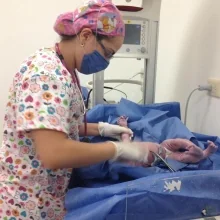 Foto de Dra. Atenea Caceres Papadakis, Pediatría en Apodaca