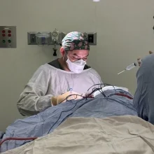 Dr. Demetrio Domínguez Guzmán