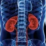 Foto de Dr. Fernando Galindo Soto, Nefrología en San Nicolás de los Garza