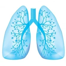 Dr. Jazmín Montserrat Chávez Macías