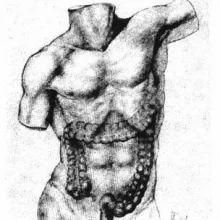 Foto de Dr. Jose De Jesus Marquez Garcia, Coloproctología en Xalapa