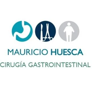 Foto de Dr. Mauricio Huesca Rico 2, Cirugía General en Xalapa