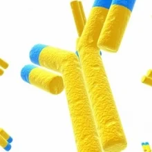 Dr. Roberto Esteban Delgado Adame