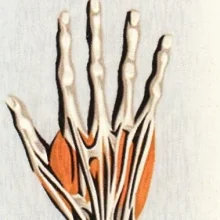 Foto de Dr. David Bañuelos Ramirez, Reumatología en Puebla