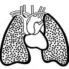 Foto de Dr. Teodocio Antonio Popoca Coyotl, Neumología en Puebla