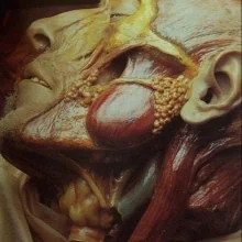 Foto de Dr. Cesar Gustavo López Núñez, Otorrinolaringología en Querétaro