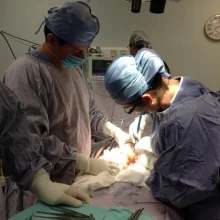 Foto de Dr. Julieta Cruz Ruiz, Ginecología y Obstetricia en San Luis Potosí
