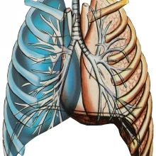 Foto de Dr. Manuel De Jesús Díaz Verduzco, Neumología en Culiacán
