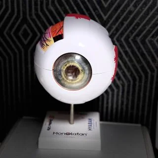 Foto de Dr. Pedro Antonio Audelo Quinonez 3, Oftalmología en Los Mochis