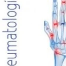 Foto de Dr. Francisco Ramos Niembro, Reumatología en Veracruz