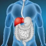 Foto de Dr. María Teresa Guzmán Terrones, Gastroenterología en Veracruz